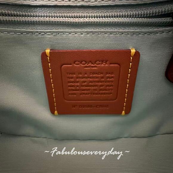 Coach Carmen Mini Crossbody Bag In Pearlized Leather/Silver/Green CBI46 NWT - Picture 9 of 9